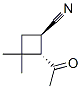 Cyclobutanecarbonitrile, 2-acetyl-3,3-dimethyl-, trans- (9CI) CAS#: 109900-64-3