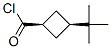 Cyclobutanecarbonyl chloride, 3-tert-butyl-, cis- (8CI) CAS#: 24165-52-4