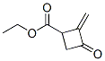 Cyclobutanecarboxylic acid, 2-methylene-3-oxo-, ethyl ester (9CI) CAS#: 220301-46-2