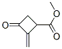 Cyclobutanecarboxylic acid, 2-methylene-3-oxo-, methyl ester (9CI) CAS#: 112139-41-0