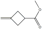 Cyclobutanecarboxylic acid, 3-methylene-, methyl ester (6CI,8CI,9CI) CAS#: 15963-40-3