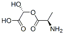 D-Alanine, (R)-carboxyhydroxymethyl ester (9CI) CAS#: 246043-49-2