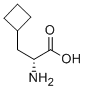 D-Cyclobutylalanine CAS#: 174266-00-3