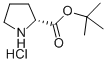 D-PROLINE TERT-BUTYL ESTER HYDROCHLORIDE CAS#: 184719-80-0