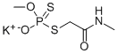 DESMETHYLDIMETHOATE CAS#: 20253-72-9