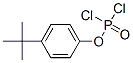 Dichloridophosphoric acid 4-tert-butylphenyl ester CAS#: 18351-36-5