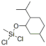 Dichloro[(p-menth-3-yl)oxy](methyl)silane CAS#: 24799-65-3