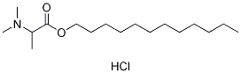 Dodecyl 2-(N,N-dimethylamino)propionate Hcl CAS#: 259685-49-9