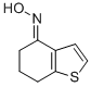 (E)-6,7-DIHYDROBENZO[B]THIOPHEN-4(5H)-ONE OXIME CAS#: 19995-19-8