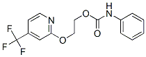 ETHANOL, 2-[[4-(TRIFLUOROMETHYL)-2-PYRIDINYL]OXY]-, PHENYLCARBAMATE (ESTER) CAS#: 257284-79-0
