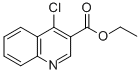 ETHYL 4-CHLORO-3-QUINOLINECARBOXYLATE CAS#: 13720-94-0