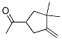 Ethanone, 1-(3,3-dimethyl-4-methylenecyclopentyl)- (9CI) CAS#: 102939-60-6