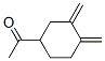 Ethanone, 1-[3,4-bis(methylene)cyclohexyl]- (9CI) CAS#: 107124-02-7