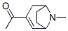 Ethanone, 1-(8-methyl-8-azabicyclo[3.2.1]oct-2-en-3-yl)- (9CI) CAS#: 216853-25-7