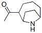 Ethanone, 1-(9-azabicyclo[4.2.1]non-2-yl)-, endo- (9CI) CAS#: 112245-97-3