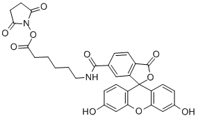 FLUORESCEIN-5(6)-CARBOXAMIDOCAPROIC ACID N-SUCCINIMIDYL ESTER CAS#: 114616-31-8