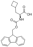 FMOC-ALA(BETA-CYCLOBUTYL)-OH CAS#: 478183-62-9