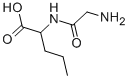 GLYCYL-DL-NORVALINE CAS#: 2189-27-7