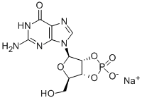 GUANOSINE 2':3'-CYCLIC MONOPHOSPHATE SODIUM SALT CAS#: 15718-49-7