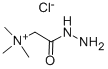 Girard's Reagent T CAS#: 123-46-6