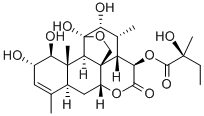 Glaucarubin CAS#: 1448-23-3