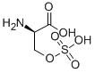H-D-SER(SO3H)-OH CAS#: 19794-48-0