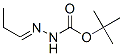 Hydrazinecarboxylic acid, propylidene-, 1,1-dimethylethyl ester (9CI) CAS#: 112383-12-7