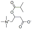 Isobutyroyl Carnitine CAS#: 25518-48-3