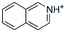 Isoquinolinium CAS#: 23715-85-7