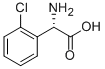 L-2-Chlorophenylglycine CAS#: 141315-50-6