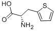 L-2-THIENYLALANINE CAS#: 22951-96-8