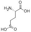 L-HOMOCYSTEINESULFINIC ACID CAS#: 2686-70-6