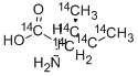 L-ISOLEUCINE-UL-14C CAS#: 18875-42-8