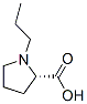 L-Proline, 1-propyl- (9CI) CAS#: 101253-30-9