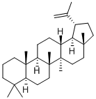 LUP-20(29)-ENE CAS#: 1721-81-9