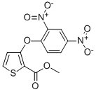 METHYL 3-(2,4-DINITROPHENOXY)-2-THIOPHENECARBOXYLATE CAS#: 104636-76-2