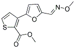 METHYL 3-(5-[(METHOXYIMINO)METHYL]-2-FURYL)-2-THIOPHENECARBOXYLATE CAS#: 241488-19-7