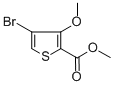 METHYL 4-BROMO-3-METHOXYTHIOPHENE-2-CARBOXYLATE CAS#: 110545-67-0