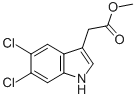 METHYL 5,6-DICHLORO-3-INDOLEACETATE CAS#: 113537-13-6
