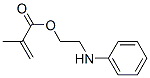 Methacrylic acid 2-anilinoethyl ester CAS#: 19288-59-6
