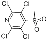 Methyl 2,3,5,6-tetrachloro-4-pyridyl sulfone CAS#: 13108-52-6