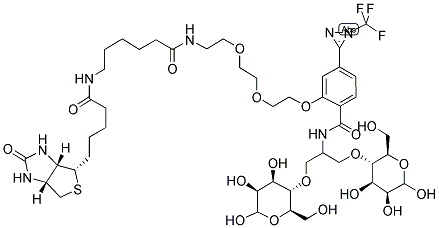 N-[2-[2-[2-[(N-BIOTINYL-CAPROYLAMINO)-ETHOXY)ETHOXYL]-4-[2-(TRIFLUOROMETHYL)-3H-DIAZIRIN-3-YL]BENZOYL]-1,3-BIS(MANNOPYRANOSYL-4-YLOXY)-2-PROPYLAMINE CAS#: 207971-25-3