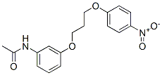 N-[3-[3-(4-nitrophenoxy)propoxy]phenyl]acetamide CAS#: 19157-67-6