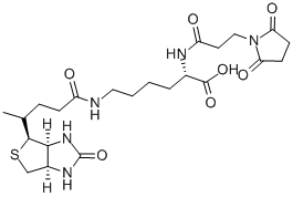 N-(3-MALEIMIDOPROPIONYL)BIOCYTIN CAS#: 102849-12-7