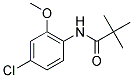 N-(4-CHLORO-6-METHOXYPHENYL)-2,2-DIMETHYLPROPANAMIDE CAS#: 113137-29-4
