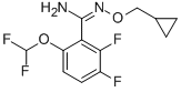 N-Cyclopropylmethoxy-6-difluoromethoxy-2,3-difluoro-benzamidine CAS#: 221202-26-2