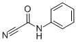 N-(PHENYL)CYANOFORMAMIDE CAS#: 13974-62-4