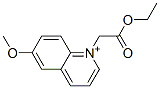N-(ethoxycarbonylmethyl)-6-methoxyquinolinium CAS#: 18010-05-4