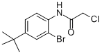 N1-[2-BROMO-4-(TERT-BUTYL)PHENYL]-2-CHLOROACETAMIDE CAS#: 287923-75-5