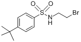 N1-(2-BROMOETHYL)-4-(TERT-BUTYL)BENZENE-1-SULFONAMIDE, TECH CAS#: 246236-63-5